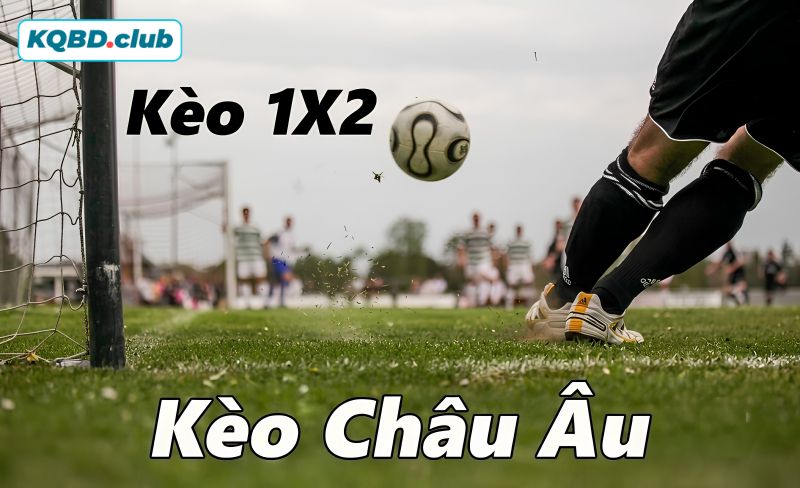 Chiến lược quản lý tài chính hiệu quả cho người chơi kèo châu Âu