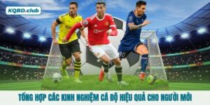 Tổng hợp các kinh nghiệm cá độ hiệu quả cho người mới