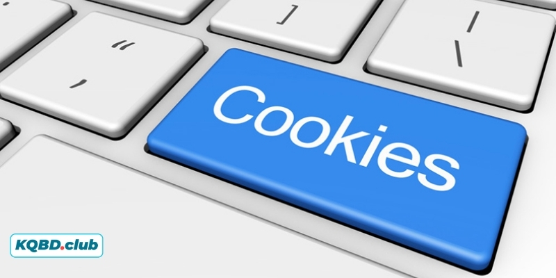 Người chơi hoàn toàn kiểm soát được các dữ liệu Cookies